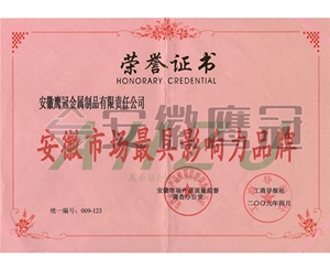 安徽市場(chǎng)最具影響力品牌